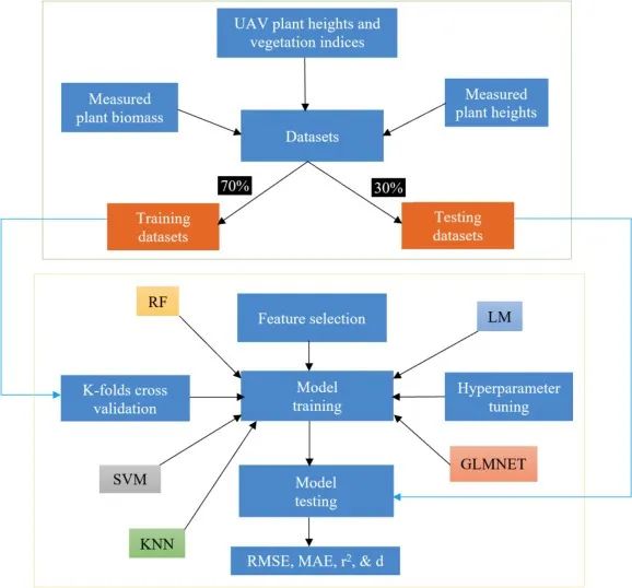 無人機( UAV )成像和機器學(xué)習(xí)在植物表型中的應(yīng)用