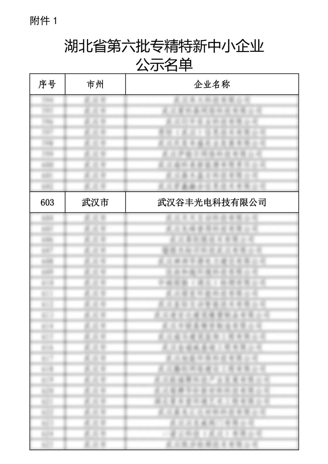 谷豐光電榮獲湖北省第六批專精特新中小企業(yè)認(rèn)定！